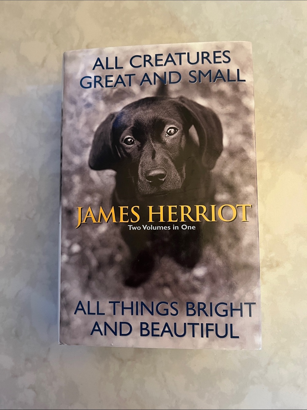 James Herriot All Creatures Great and Small & Bright and Beautiful  2 Book Combo